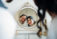 Protégé : Mariage Nazanine & Cédric